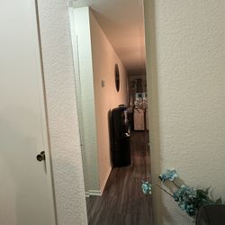 Wall Mirror 