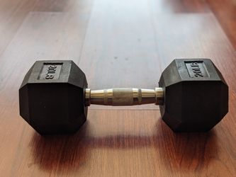 20 Lb Dumbbells