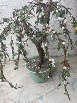 Planta de vidrio