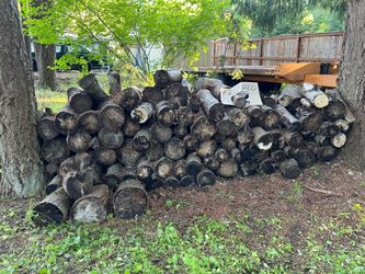 Free Wood