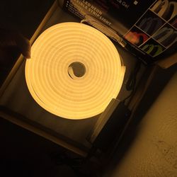 LED Neon Strip Lights