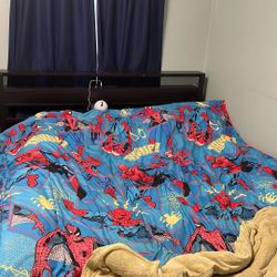 Queen Bed Frame And Wooden Plank