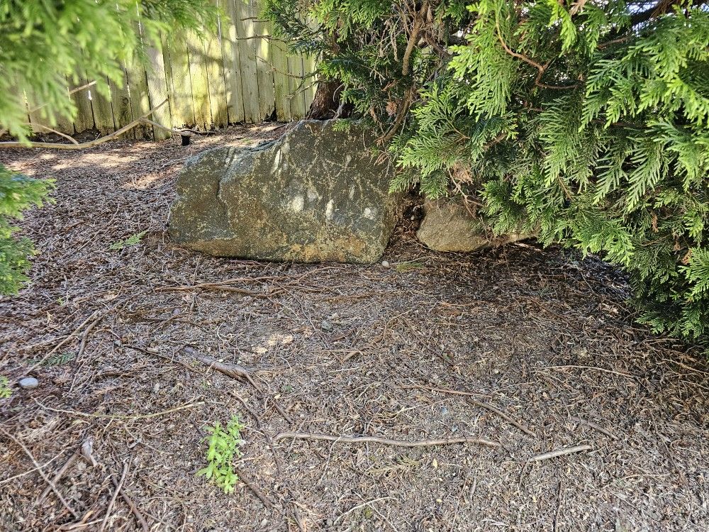 Big Rock For Free