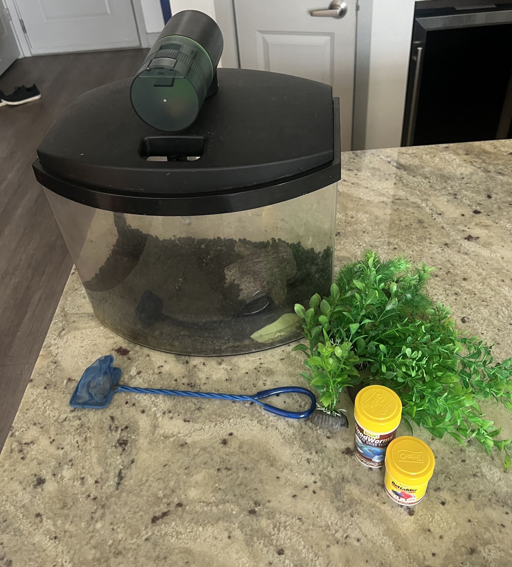 5 Gallon Fish Tank
