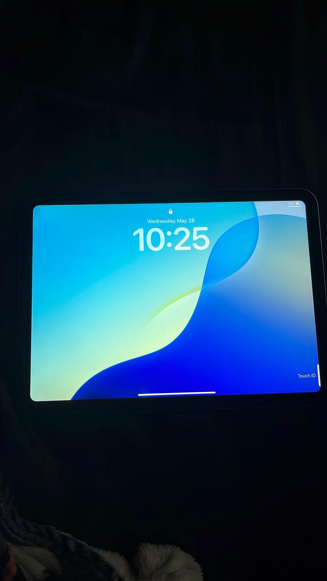 10th Generation Blue iPad