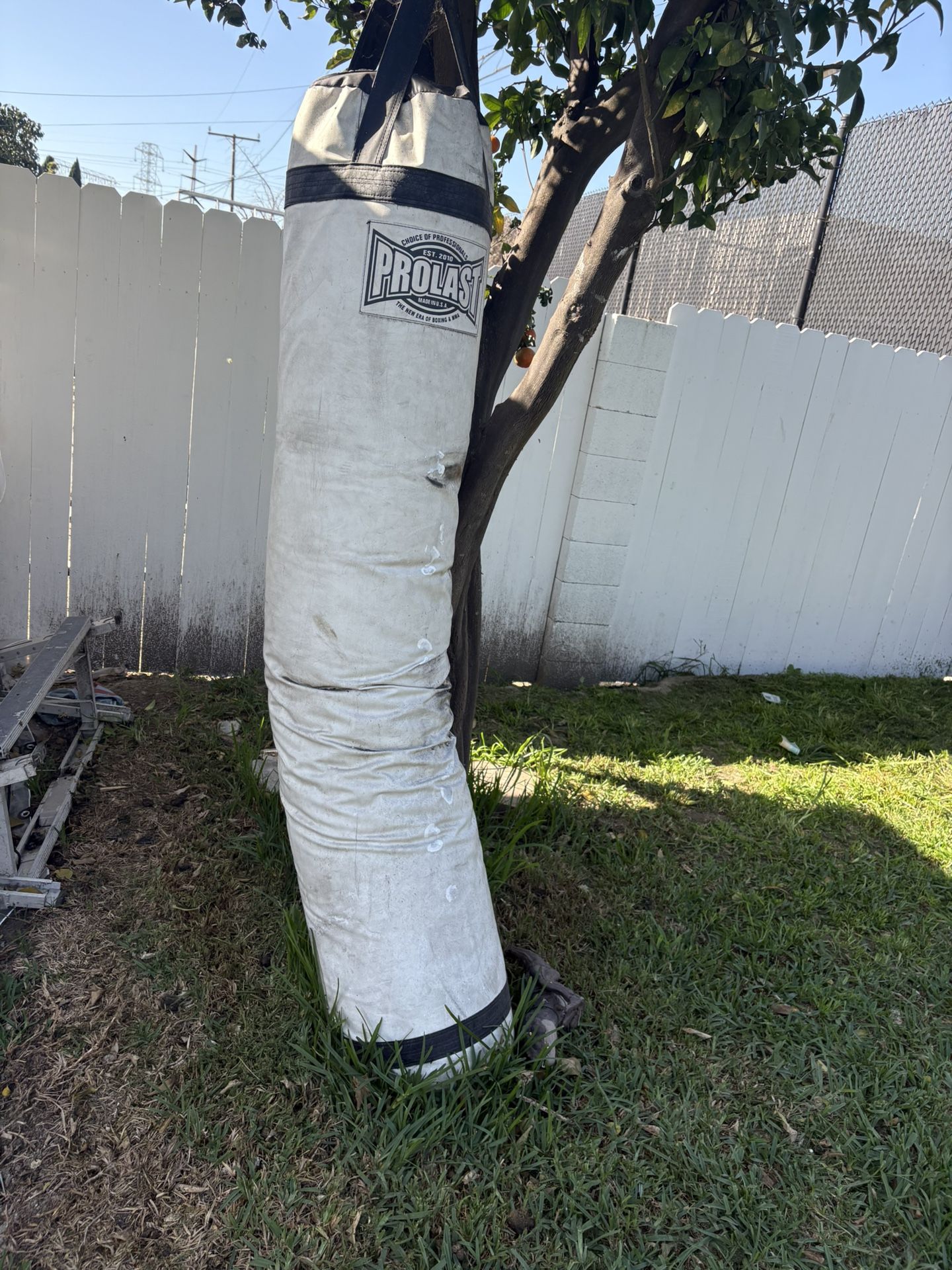 Pro Last Punching Bag