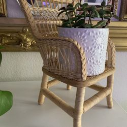 Adorable Mini Wicker Chair  Plant Decor