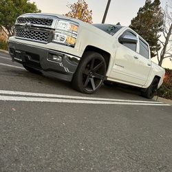 24” Inch Stradas Coda