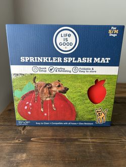 Dog Splash pad