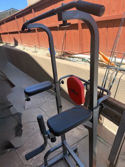 Dip and pull up stand
