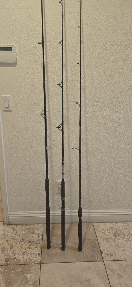 3 Spinning Fishing Rods $20 For All