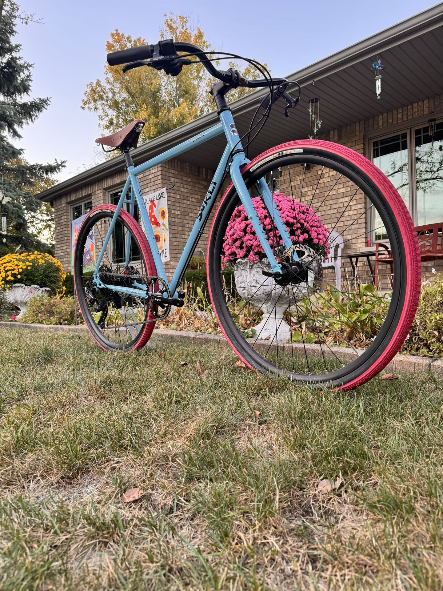 🌺 Surly Preamble🌺