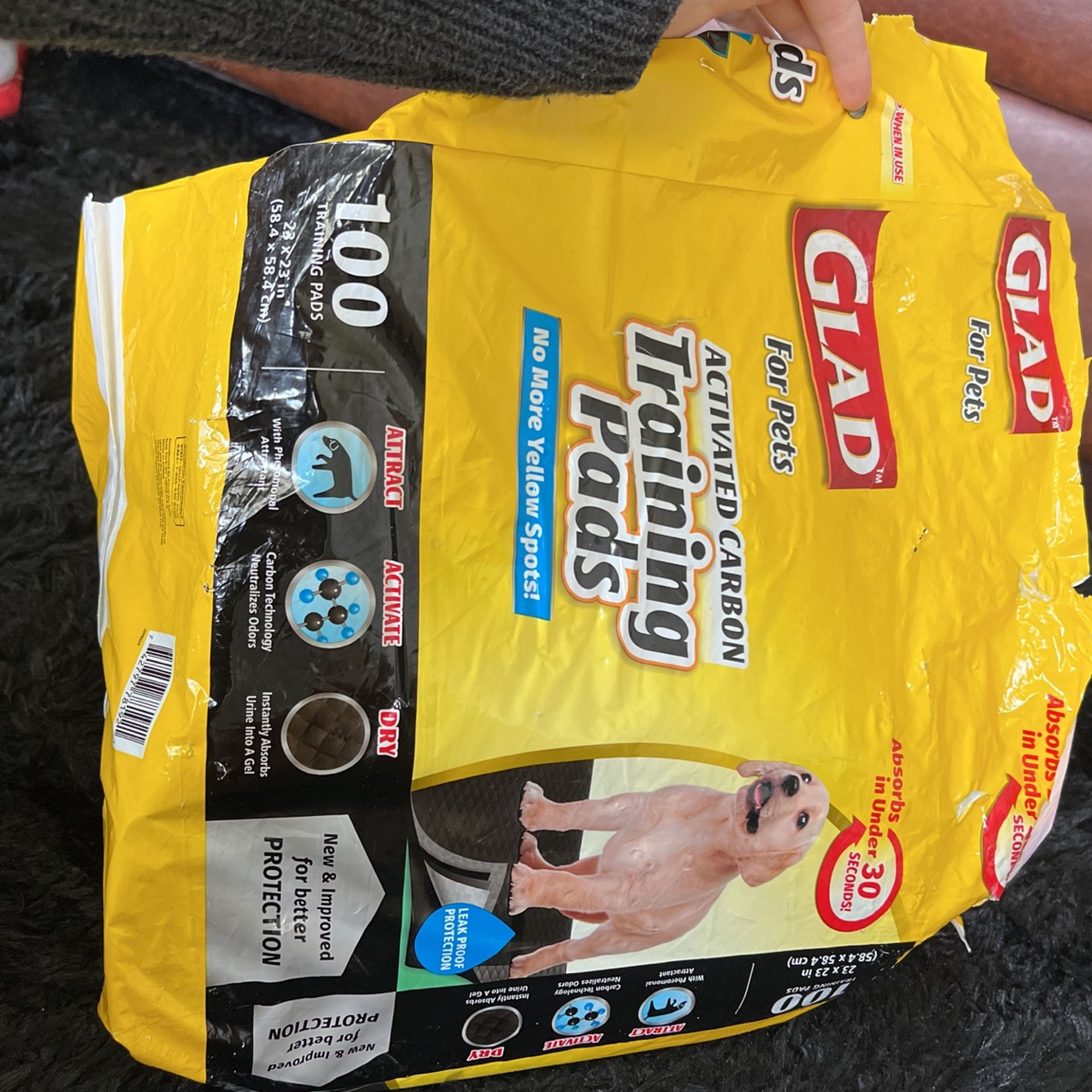 Potty Pads