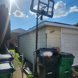 Basketball RIM