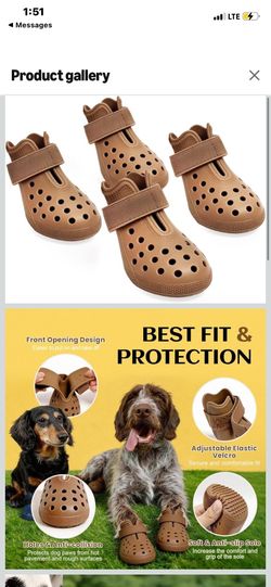 dog shoes