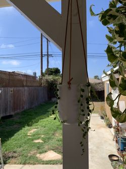 String of Pearls