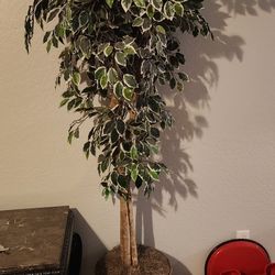 Fake Plant 