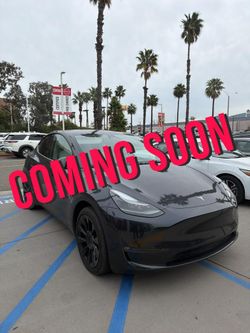 2025 Tesla Model Y
