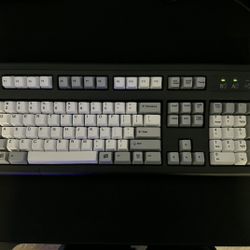 IBM Unicomp Model M Full Size Keyboard
Buckling Springs