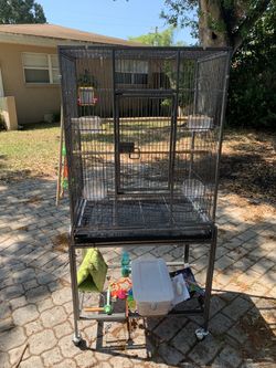 Bird Cage