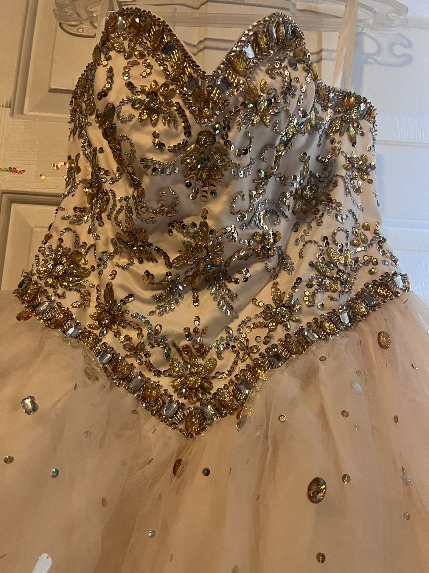 Quinceñera Dress / Prom Dress