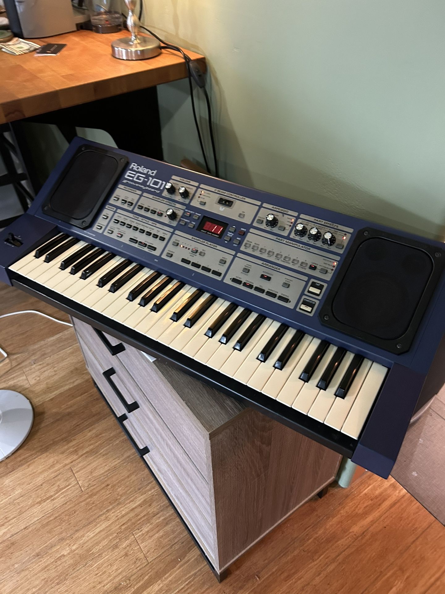 Roland EG101