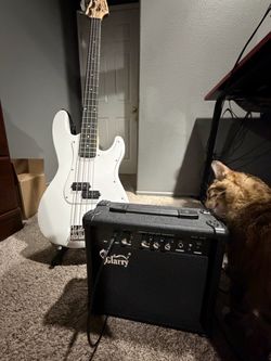 Electric Glarry Bass Guitar