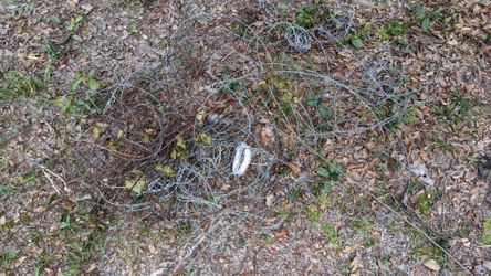 Barbed wire Barb fencing fence