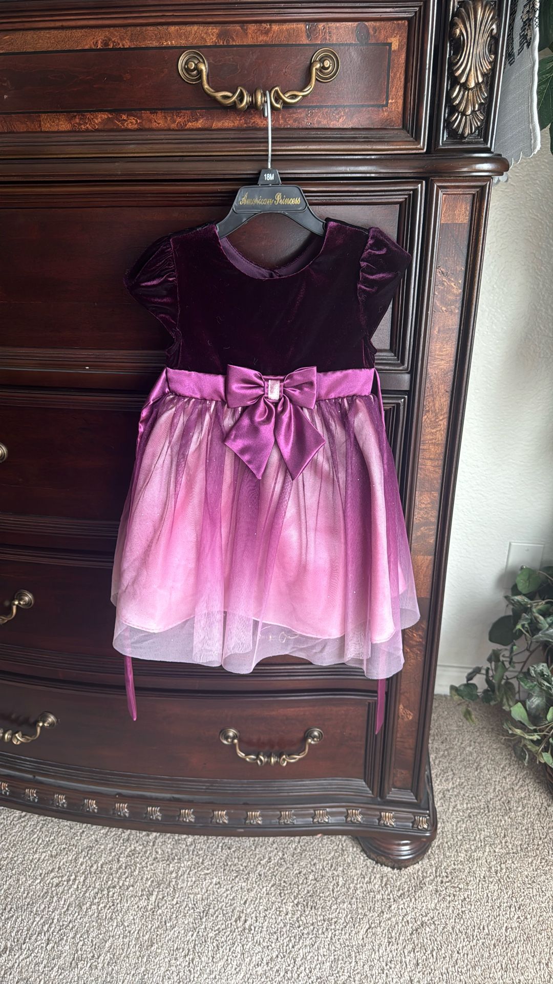 2t Beautiful Dress