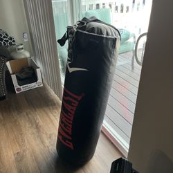 Everlast Punching bag with MMA gloves (Read description)