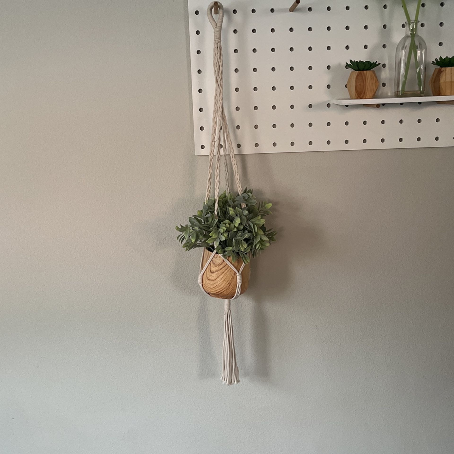 Plant Holder