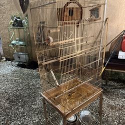 Bird Cage 