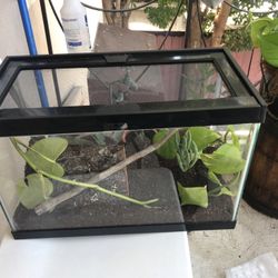 Terrarium 16” X 8 1/2” Width / Height 11” Comes With Heat Lamp And Regular Light