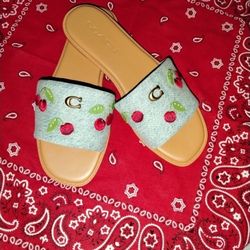 Coach Sandals 