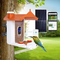 Smart Bird Feeder Camera with Solar Pannel, AI Identify Bird Species for Outdoor, 1080P Smart Bird Feeder with Camera Auto Capture Bird Videos, Wirele