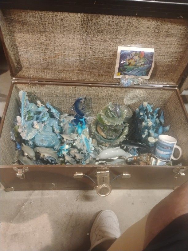 Dolphin Lovers Dream