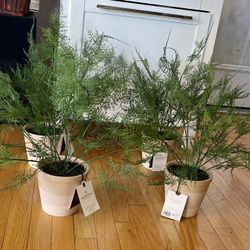 18.5" x 22" Faux Fern Potted Plant - Hearth & Hand™ with Magnolia