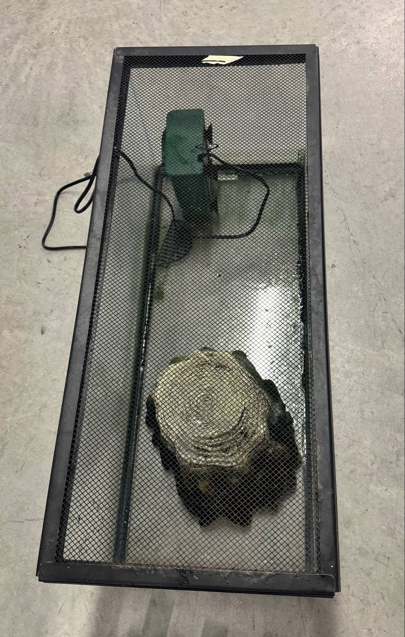 aquarium/turtle accessories 20 gal (Long) with filter