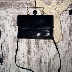 Glossy Purse