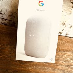 Google Nest Audio
