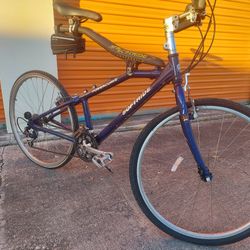 Soft Ride Road Bike