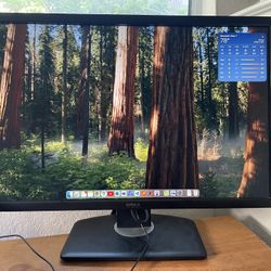 Dell UltraSharp U2412M – 24″ IPS Monitor – Excellent Condition 🌟