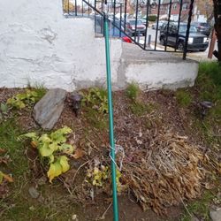 Ace Hardware Telescoping Pole Saw Extends From 6 To 12 Foot Works Great 