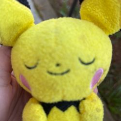 Pichu plush for boys at age 9