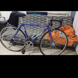Trek Bike Frame 52