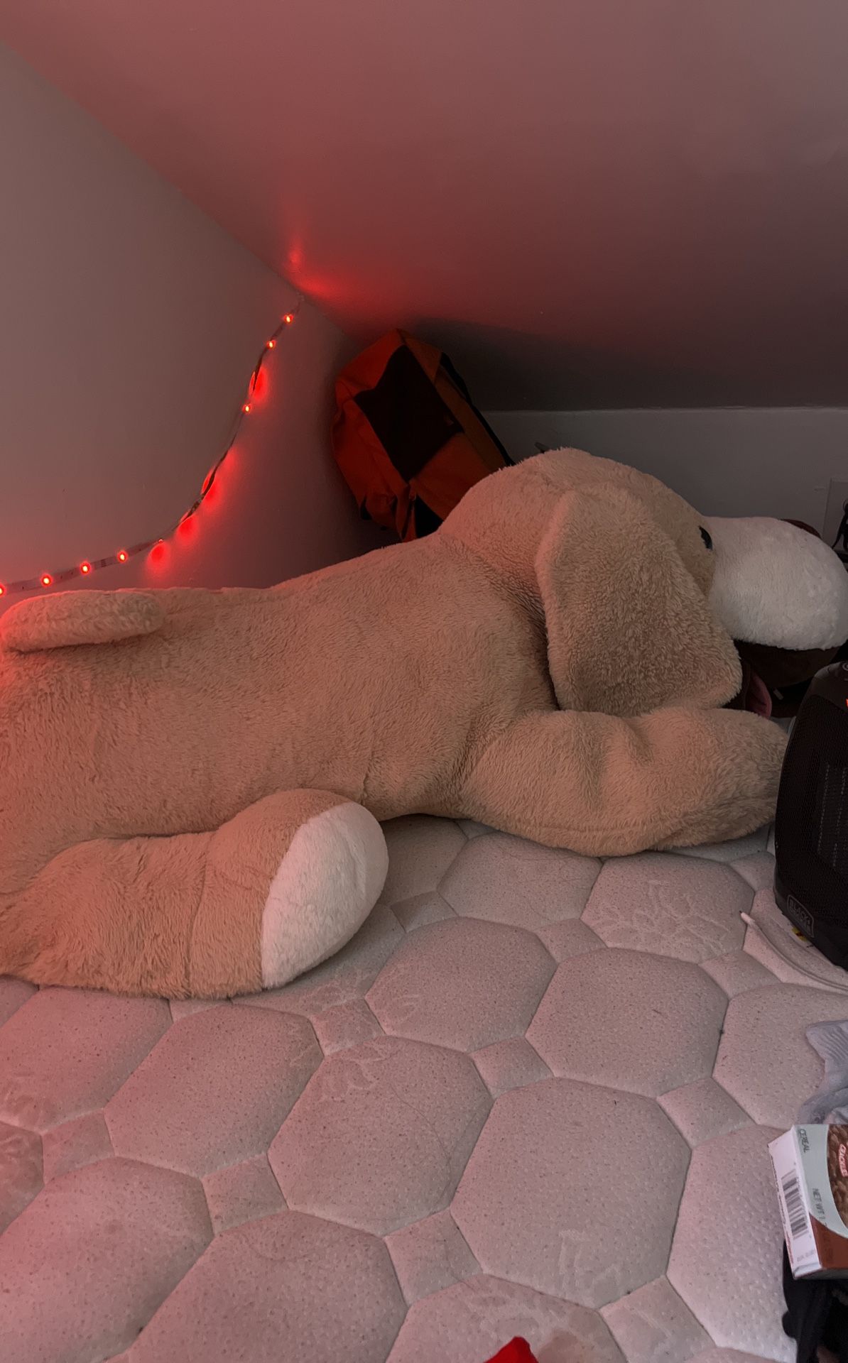 Big Size Dog Plushie