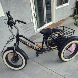 electric 3 wheel bike.  (MEICI)