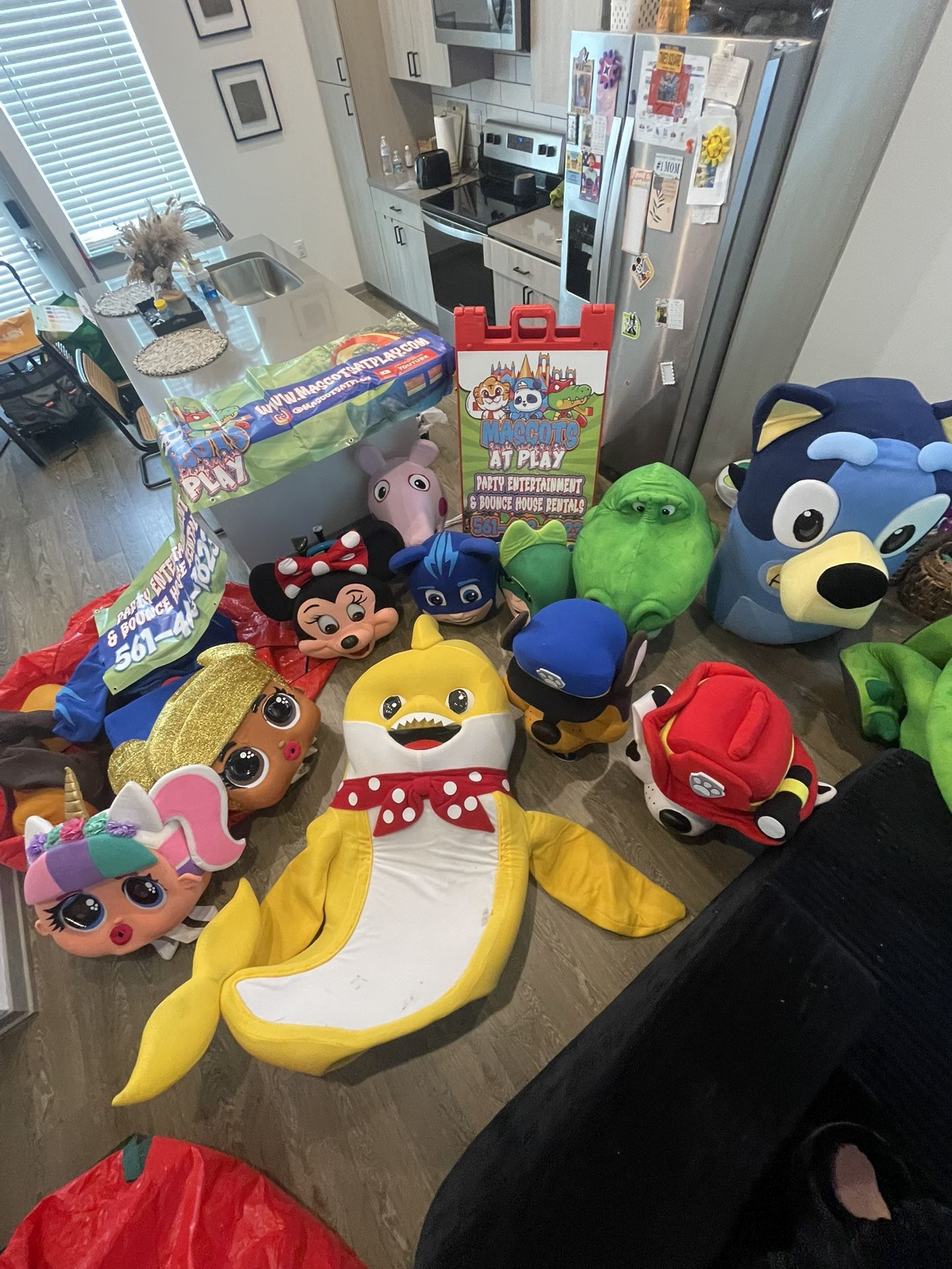 Mascots for Sale $50 Each