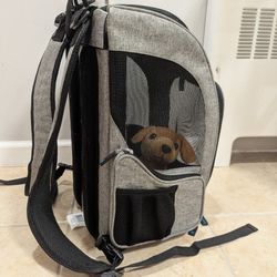 Convertible Pet Carrier