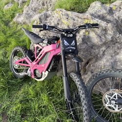 E Ride Pro SS 2.0